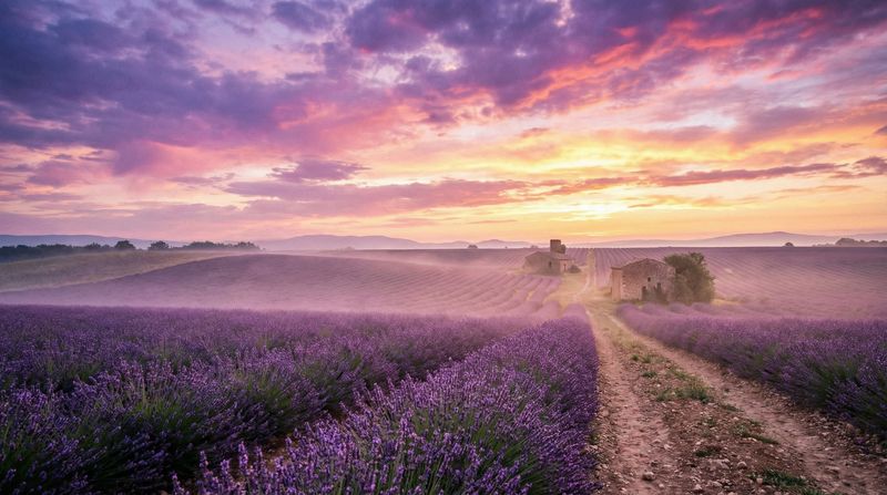 母狗官网传媒风景拍摄
